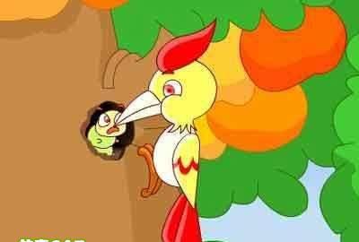 啄木鸟的母亲开始教他治疗树的能力