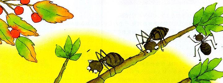 几十只小蚂蚁一起动手,终于把树枝移开,让出了一条路