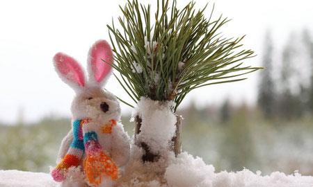 雪娃娃从天而降,他挥舞着小雪棒,雪花落在兔子的头发、袖子和睫