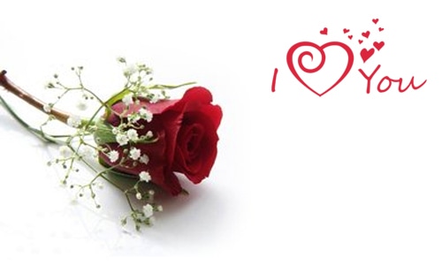 情人节送玫瑰的含义是什么